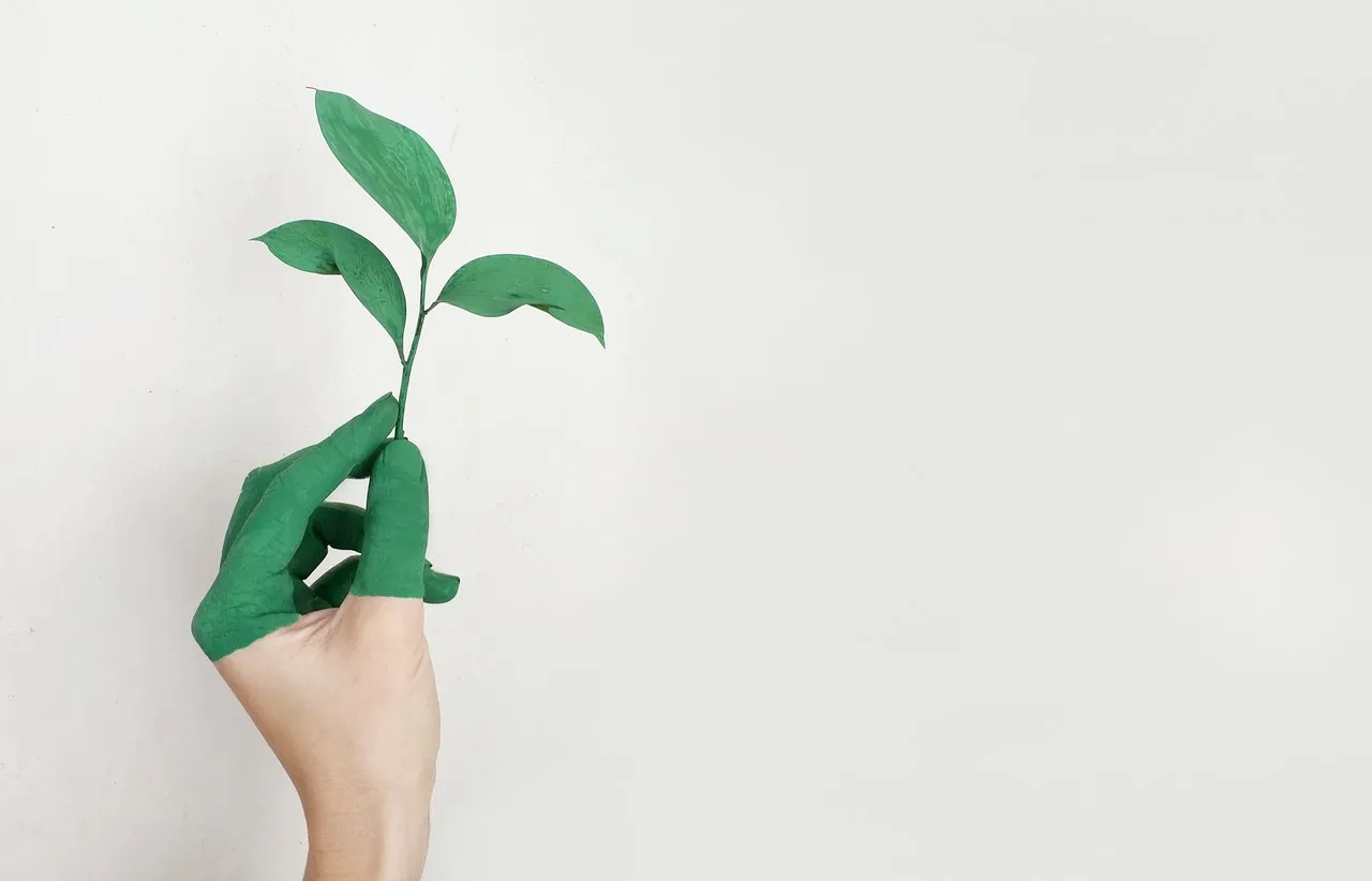 50 Frases Resiliencia 1 que es resiliencia como ser resiliente