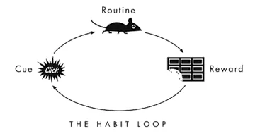 habit loop | Neurita