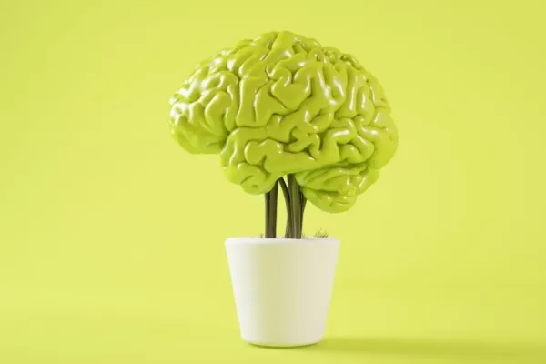 La mente es maravillosa 10 la mente es maravillosa neurita psicologia articulos blog