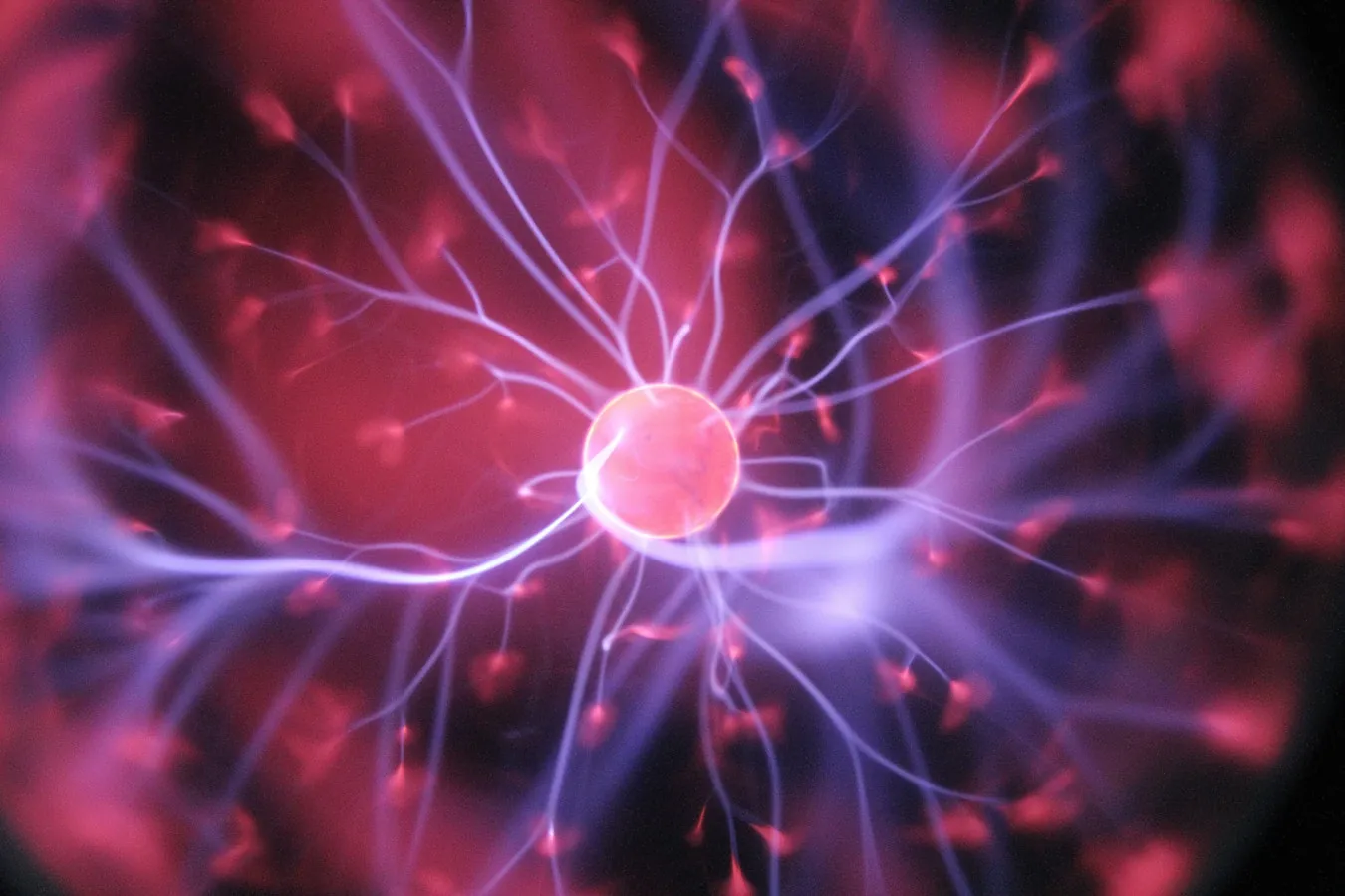 ¿Qué es el Neuromarketing? 1 Neurita, psicologia y neuromarketing