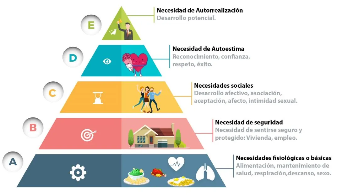 100 preguntas de psicología 7 100 preguntas de psicologia piramide de maslow