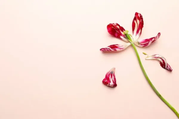 Problemas psicológicos de la mujer durante la menopausia
