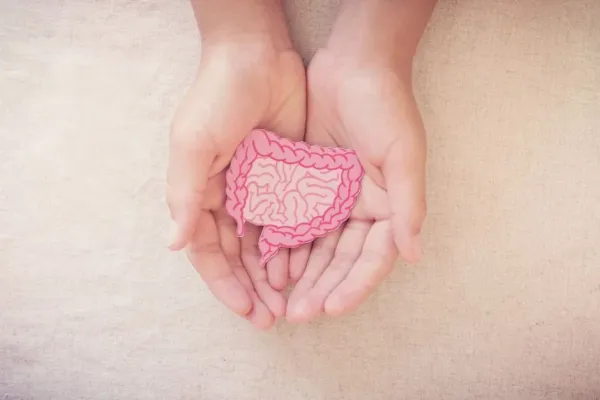 Psicobióticos: Los probióticos que cambian tu cerebro 11 Psicobióticos Los probióticos que cambian tu cerebro Neurita Psicologia inmunologia