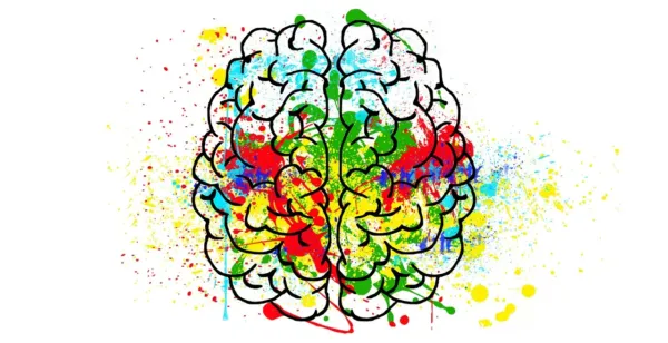 Neurita psicología y neuromarketing