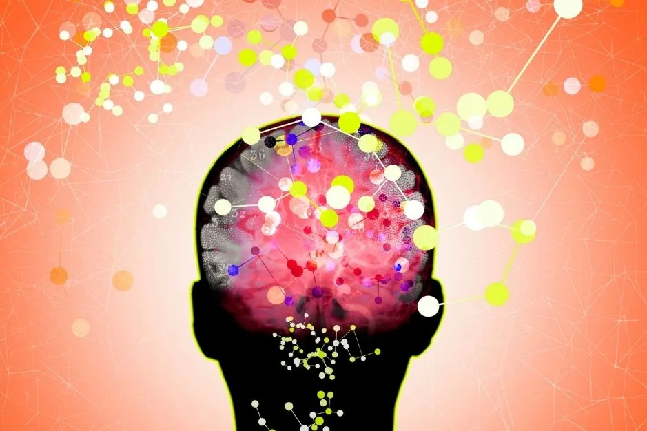Psiconeuroinmunología (PNI), ¿sabes qué es? 1 Psiconeuroinmunología Neurita blog de psicología