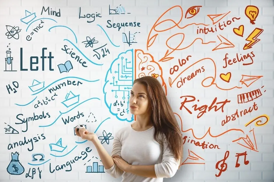 12 Ramas de la psicología 15 ramas de la psicologia blog neurita neuropsicologia