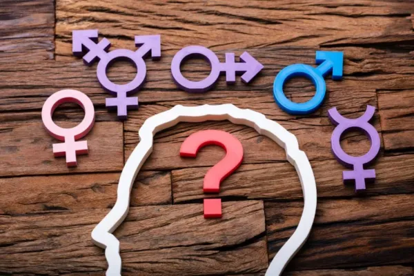 Tipos de identidad de género psicologia neurita blog diccionario