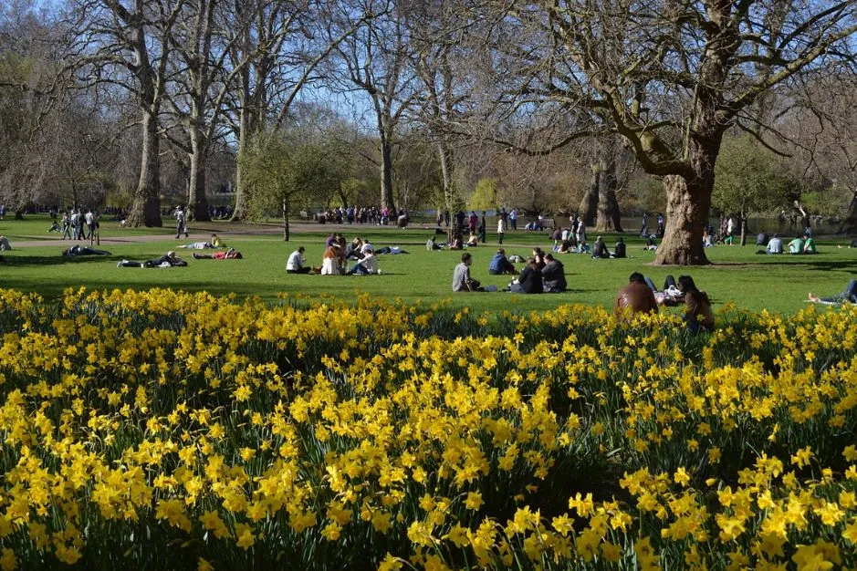 Zonas verdes y salud mental en las ciudades 8 zonas verdes y salud mental en las ciudades 2 | Neurita