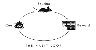 3 Claves de Neuromarketing de los videojuegos 2 habit loop • Neurita | Blog de Psicología