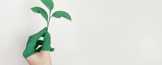 50 Frases Resiliencia 5 que es resiliencia como ser resiliente