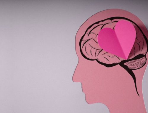 Salud Cerebral: potenciando el bienestar cognitivo