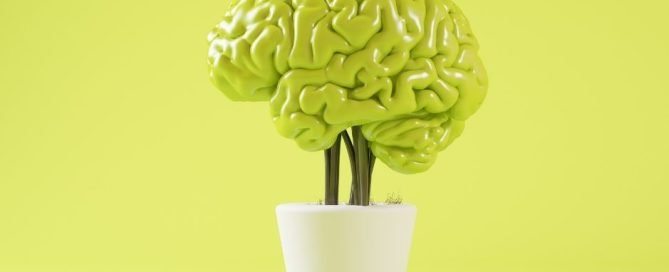 La mente es maravillosa 9 la mente es maravillosa neurita psicologia articulos blog
