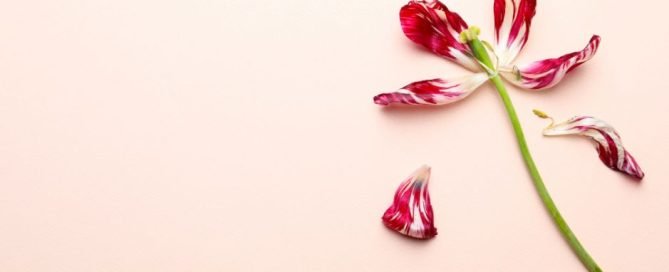 Problemas psicológicos de la mujer durante la menopausia 9 Problemas psicológicos de la mujer durante la menopausia