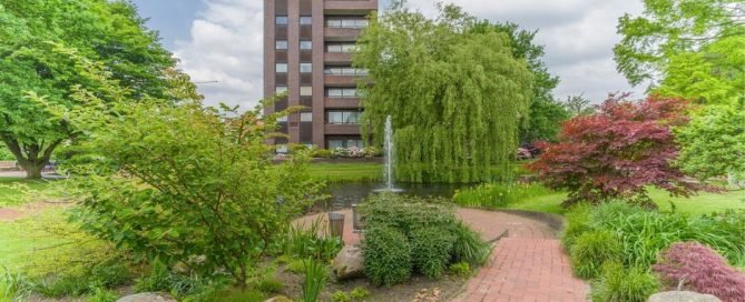 Zonas verdes y salud mental en las ciudades 8 • Neurita | Blog de Psicología